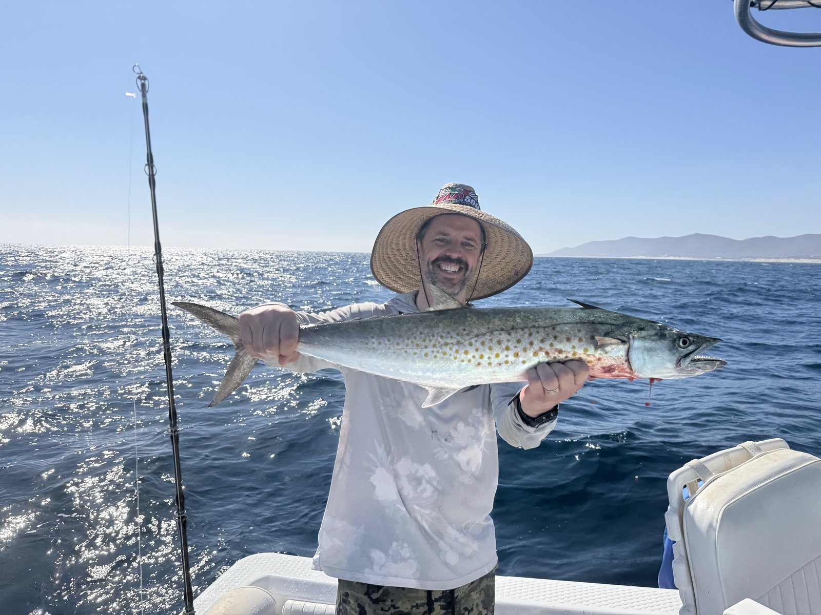 A freshly caught wahoo